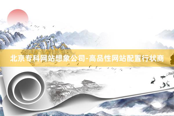 北京专科网站想象公司-高品性网站配置行状商