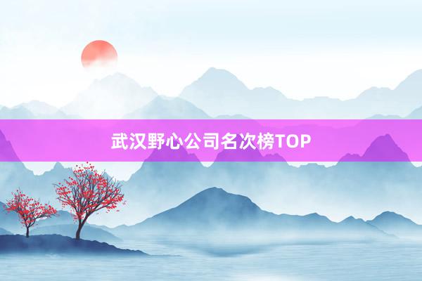 武汉野心公司名次榜TOP